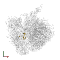 Small ribosomal subunit protein bS6 in PDB entry 7azo, assembly 1, front view.