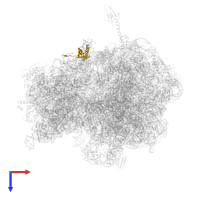 Small ribosomal subunit protein bS6 in PDB entry 7azo, assembly 1, top view.
