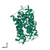 EamA domain-containing protein in PDB entry 7b0k, assembly 1, side view.
