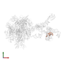 Small nuclear ribonucleoprotein F in PDB entry 7b0y, assembly 1, front view.