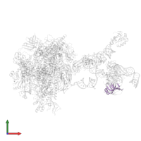 Small nuclear ribonucleoprotein E in PDB entry 7b0y, assembly 1, front view.