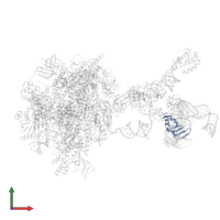 Small nuclear ribonucleoprotein Sm D3 in PDB entry 7b0y, assembly 1, front view.