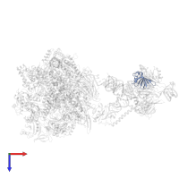 Small nuclear ribonucleoprotein Sm D3 in PDB entry 7b0y, assembly 1, top view.