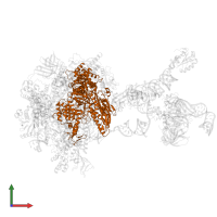 DNA-directed RNA polymerase subunit beta in PDB entry 7b0y, assembly 1, front view.