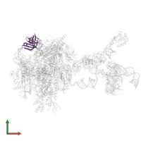 DNA-directed RNA polymerases I, II, and III subunit RPABC3 in PDB entry 7b0y, assembly 1, front view.