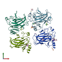 PDB entry 7b4b coloured by chain, front view.