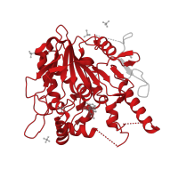 The deposited structure of PDB entry 7b50 contains 1 copy of Pfam domain PF03283 (Pectinacetylesterase) in Palmitoleoyl-protein carboxylesterase NOTUM. Showing 1 copy in chain A.