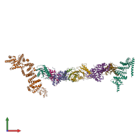 PDB entry 7b6r coloured by chain, front view.