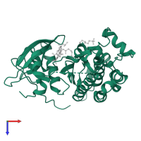 Epidermal growth factor receptor in PDB entry 7b85, assembly 1, top view.