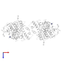 ZINC ION in PDB entry 7b8e, assembly 1, top view.