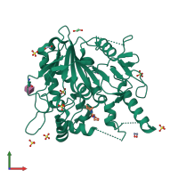 PDB entry 7b8o coloured by chain, front view.