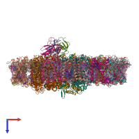 PDB entry 7bgi coloured by chain, top view.