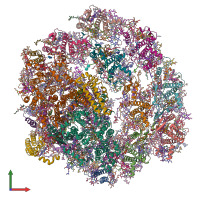 PDB entry 7blx coloured by chain, front view.