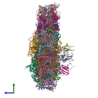 PDB entry 7blx coloured by chain, side view.