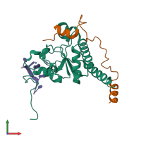 Hetero trimeric assembly 3 of PDB entry 7c06 coloured by chemically distinct molecules, front view.