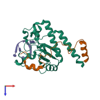 Hetero trimeric assembly 5 of PDB entry 7c06 coloured by chemically distinct molecules, top view.