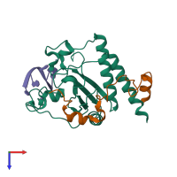 Hetero trimeric assembly 7 of PDB entry 7c06 coloured by chemically distinct molecules, top view.