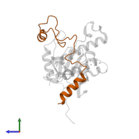 Splicing factor U2AF 59 kDa subunit in PDB entry 7c06, assembly 1, side view.