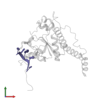 RNA (5'-R(*U*UP*AP*GP*GP*U)-3') in PDB entry 7c06, assembly 1, front view.