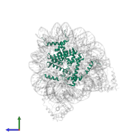 Histone H3.1 in PDB entry 7c0m, assembly 1, side view.
