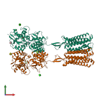 PDB entry 7c7q coloured by chain, front view.