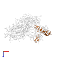 Light chain of H014 Fab in PDB entry 7cai, assembly 1, top view.