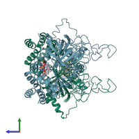 PDB entry 7cat coloured by chain, side view.