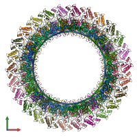 PDB entry 7cbl coloured by chain, front view.