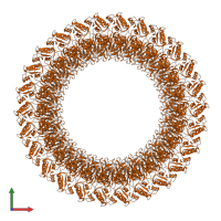 Flagellar P-ring protein in PDB entry 7cbl, assembly 1, front view.