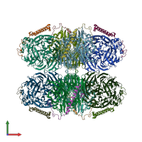 PDB entry 7ced coloured by chain, front view.