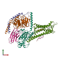 PDB entry 7cfm coloured by chain, front view.