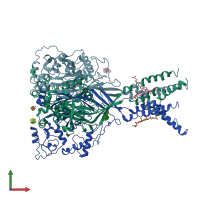 PDB entry 7cfs coloured by chain, front view.
