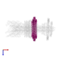 Flagellar P-ring protein in PDB entry 7cgo, assembly 1, top view.