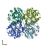 PDB entry 7clz coloured by chain, front view.