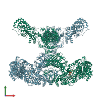 PDB entry 7cpx coloured by chain, front view.