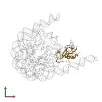 Histone-lysine N-methyltransferase NSD2 in PDB entry 7cro, assembly 1, front view.