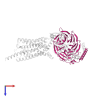 Guanine nucleotide-binding protein G(I)/G(S)/G(T) subunit beta-1 in PDB entry 7cz5, assembly 1, top view.
