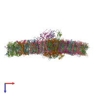 PDB entry 7d0j coloured by chain, top view.