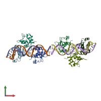 PDB entry 7dct coloured by chain, front view.