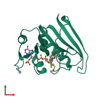 PDB entry 7dfr coloured by chain, front view.