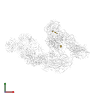 Cytochrome b-c1 complex subunit 10 in PDB entry 7dkf, assembly 1, front view.