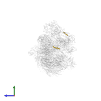 Cytochrome b-c1 complex subunit 10 in PDB entry 7dkf, assembly 1, side view.