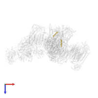 Cytochrome b-c1 complex subunit 10 in PDB entry 7dkf, assembly 1, top view.