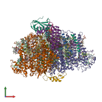 PDB entry 7dwq coloured by chain, front view.
