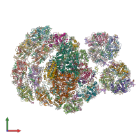 PDB entry 7dz8 coloured by chain, front view.