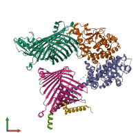 PDB entry 7e4i coloured by chain, front view.