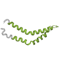 The deposited structure of PDB entry 7e80 contains 4 copies of Pfam domain PF01313 (Bacterial export proteins, family 3) in Flagellar biosynthetic protein FliQ. Showing 1 copy in chain QB [auth CA].