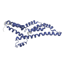The deposited structure of PDB entry 7e80 contains 5 copies of Pfam domain PF00813 (FliP family) in Flagellar biosynthetic protein FliP. Showing 1 copy in chain YB [auth CF].