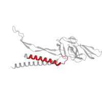 The deposited structure of PDB entry 7e80 contains 24 copies of Pfam domain PF00460 (Flagella basal body rod protein) in Flagellar basal-body rod protein FlgG. Showing 1 copy in chain A.