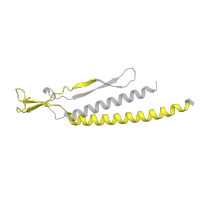 The deposited structure of PDB entry 7e80 contains 6 copies of Pfam domain PF06429 (Flagellar basal body rod FlgEFG protein C-terminal) in Flagellar basal-body rod protein FlgC. Showing 1 copy in chain KA [auth g].